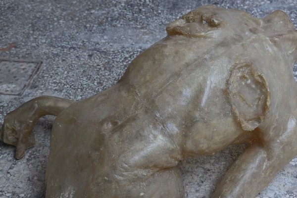 Αγία Μαρκέλλα