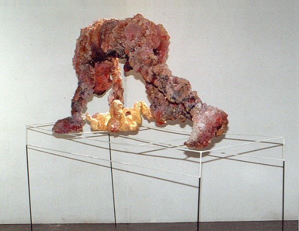 Ζευγάρι Πολυουρεθάνης