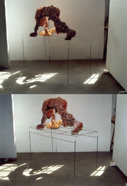 Ζευγάρι Πολυουρεθάνης