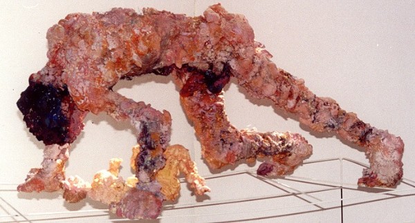 Ζευγάρι Πολυουρεθάνης