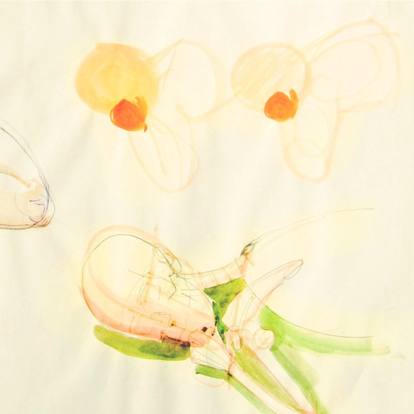 Οι Αδελφές Που Δεν Συναντήθηκαν