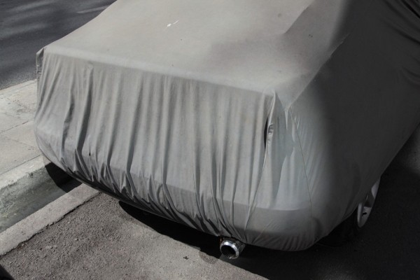 The Americana Knight