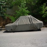 The Delay of a Smile