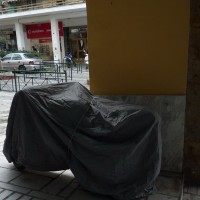Ενεδρεύων