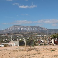 Vademecum of Mount Hymettus from the East