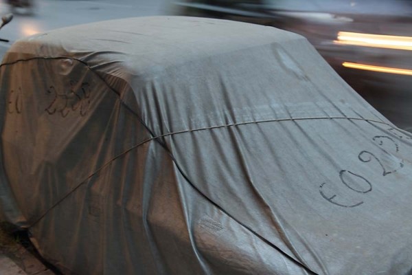 Πεπλοφόρος Μεσογείων