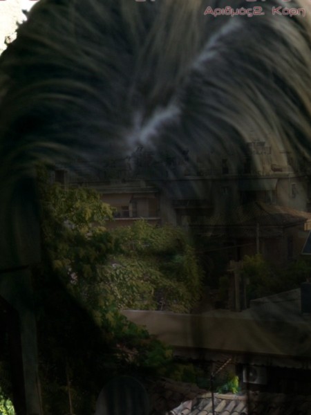 Χρονικά Κατεδάφισης 2