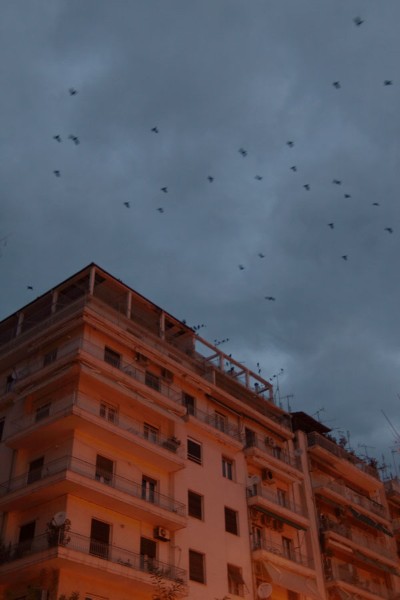 Αν είχαμε τις Πολυκατοικίες μας για Καράβια