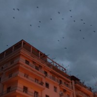 Αν είχαμε τις Πολυκατοικίες μας για Καράβια