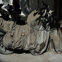 Η Αρχοντοπούλα στο Νέο Κόσμο